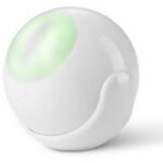 Previous Product Image